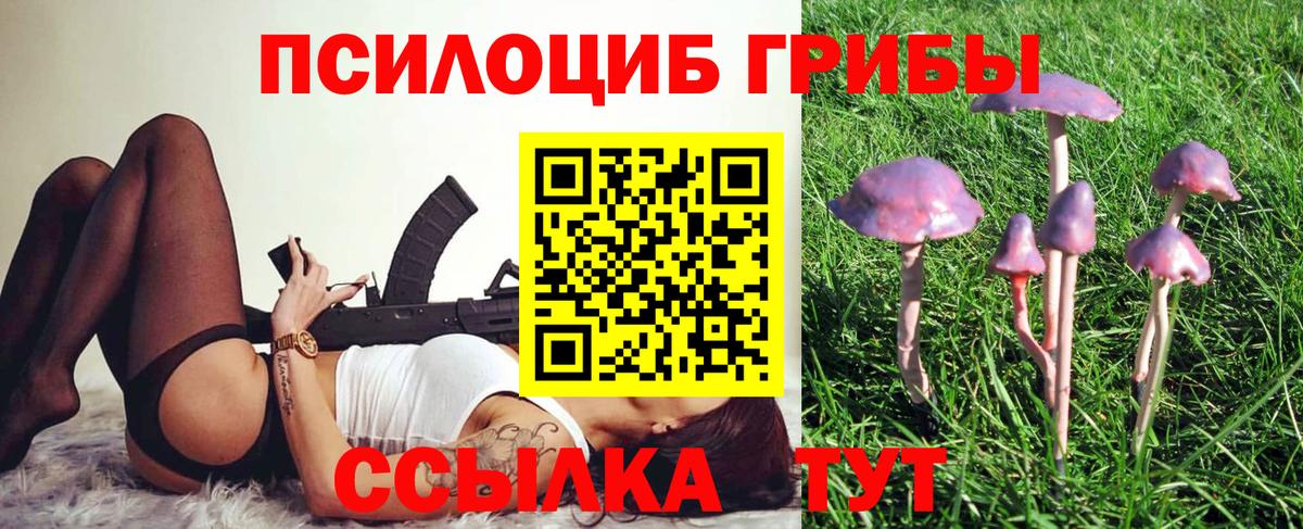 Псилоцибиновые грибы прущие грибы  Вход с VPN  Мурино 