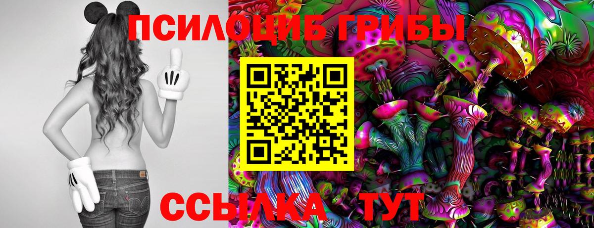 Псилоцибиновые грибы прущие грибы Мурино